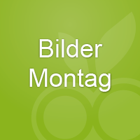 Thumb montag