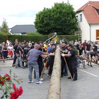 K-IMG 8159