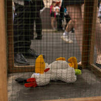 MaxemKerb'25-blossom-media-059-cmpr