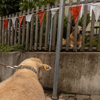 MaxemKerb'25-blossom-media-058-cmpr