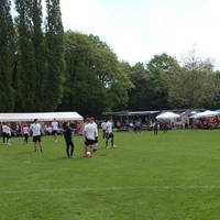 DSCF7884
