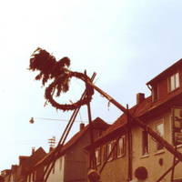Bild6