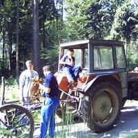 31Z30129