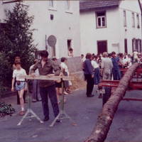 Bild24