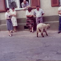 Bild23