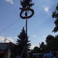 DSC00245