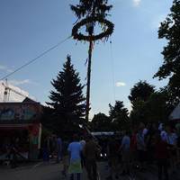 DSC00241