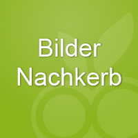 Thumb nachkerb